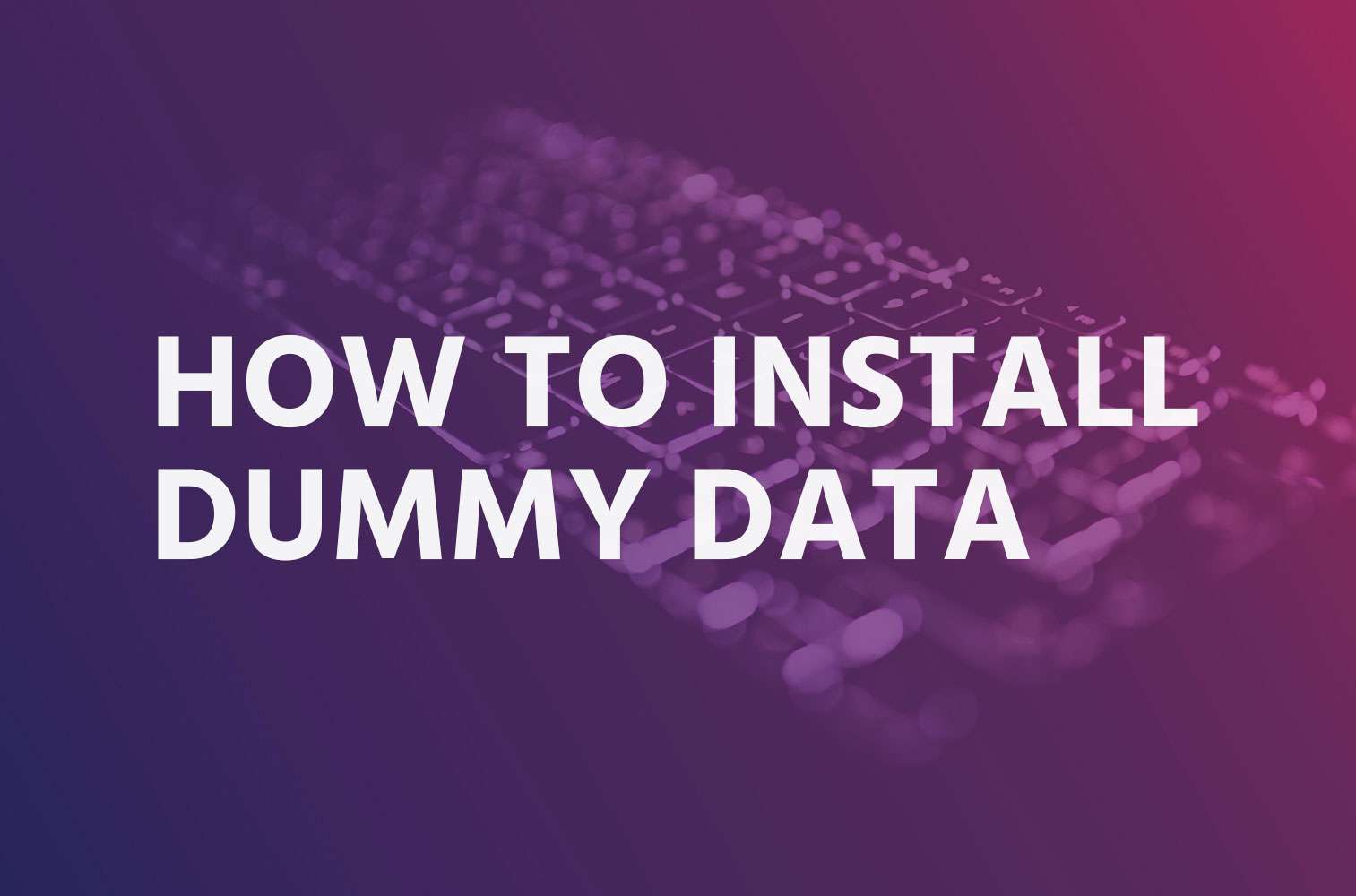 How to install dummy data